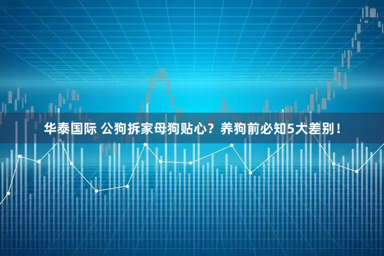 华泰国际 公狗拆家母狗贴心？养狗前必知5大差别！