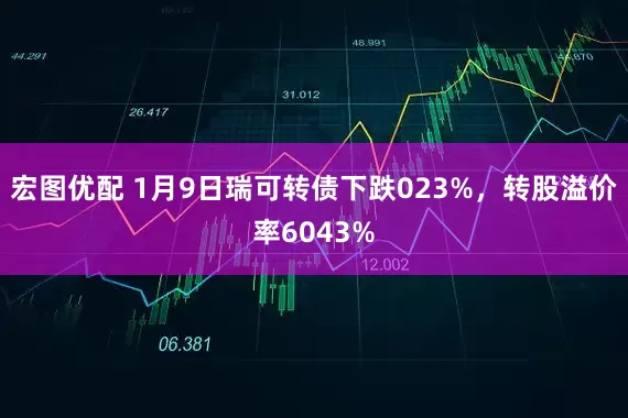 宏图优配 1月9日瑞可转债下跌023%，转股溢价率6043%